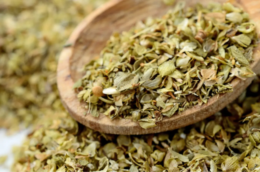 mexican-oregano