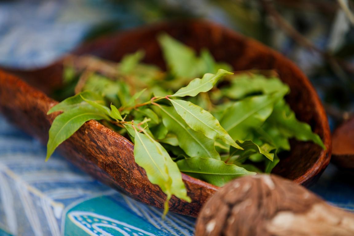 10 Burning Bay Leaves Benefits We Bet You Didn’t Knew Before