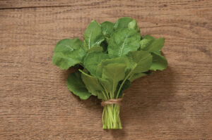 MUSTARD GREEN