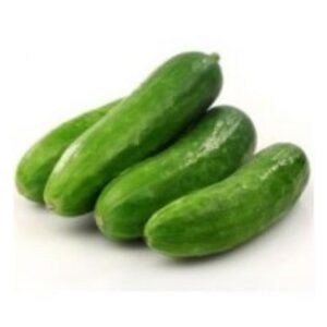 CRUNCHIEST MINI CUCUMBER