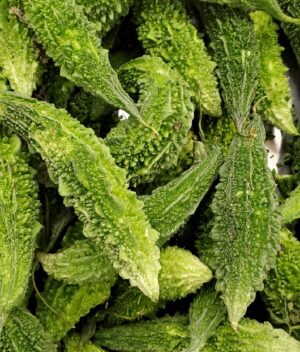 KARELA INDIAN