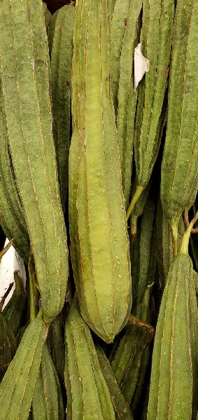 OKRA CHINESE