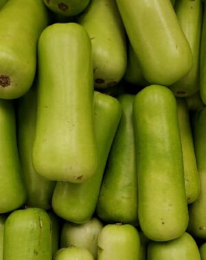 LONG SQUASH REG