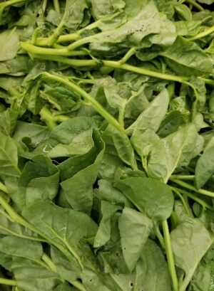 POI LEAVES (POHI)