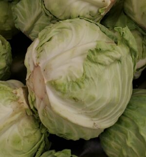 CABBAGE