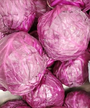 CABBAGE PURPLE