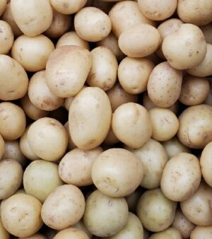 POTATO WHITE