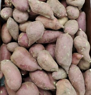 POTATO SWEET