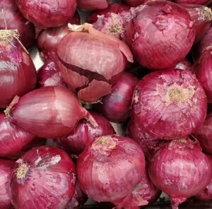 ONION RED LOOSE
