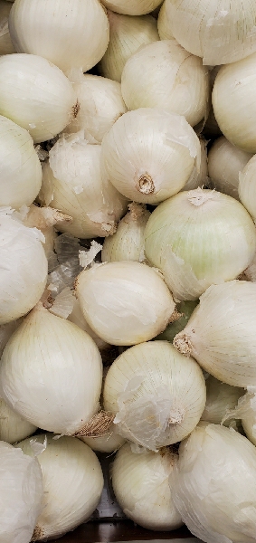 ONION WHITE LOOSE