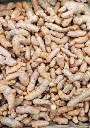 YELLOW TURMERIC