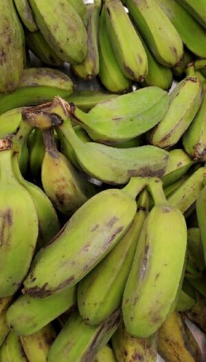 BANANA RULLO