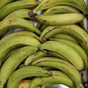 BANANA PLANTAIN