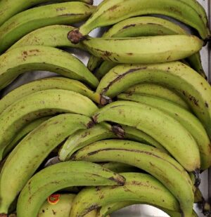 BANANA PLANTAIN