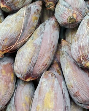 BANANA FLOWER