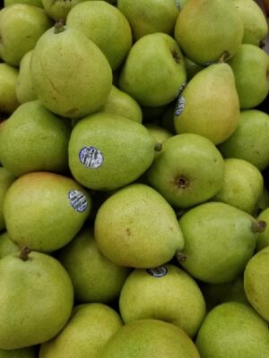 PEARS REGULAR
