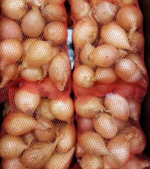 ONION PEARL GOLDEN