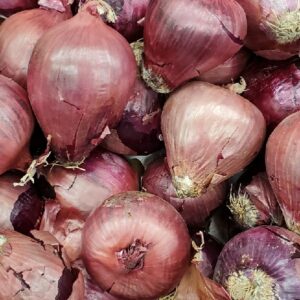 ONION PEARL