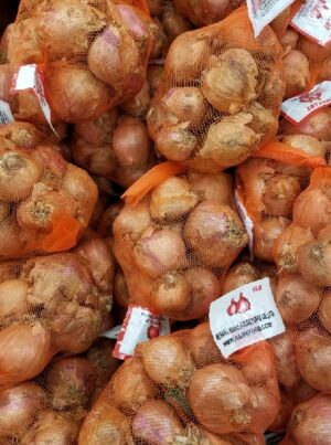 ONION SHALLOTS