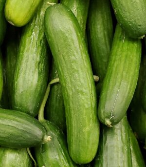 CUCUMBER INDIAN