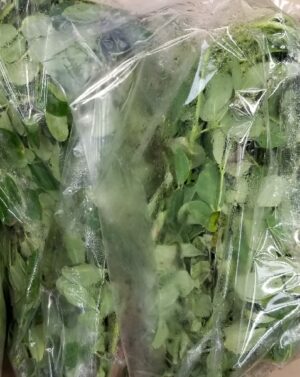 DRUMSTICKS LEAVES