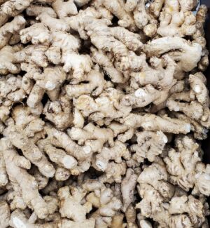 GINGER ORGANIC