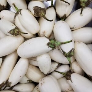WHITE EGGPLANT