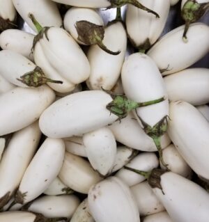 WHITE EGGPLANT
