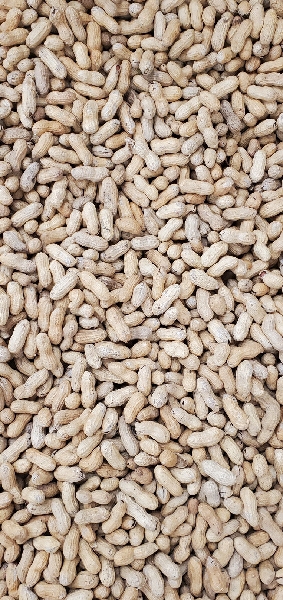 ROASTED PEANUT