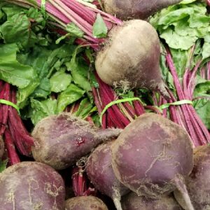 BEET ROOT WITH LEAF