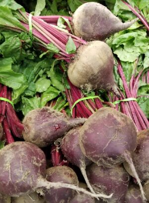 BEET ROOT WITH LEAF