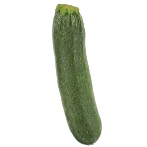 ZUCCHINI
