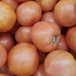 TOMATO REG