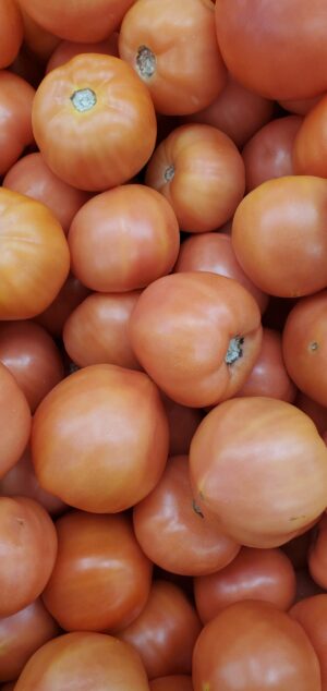 TOMATO REG