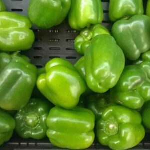 BELL PEPPER GREEN