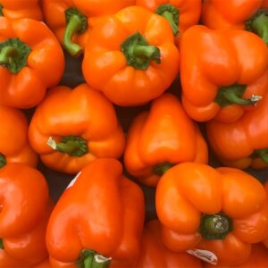 BELL PEPPER ORANGE