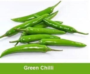CHILLI MEDIUM