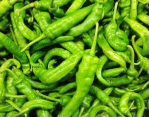 CHILLI LONG HOT