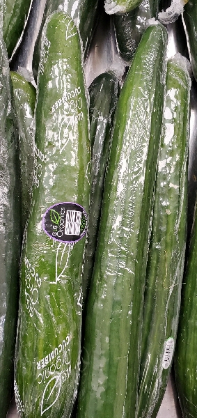 CUCUMBER SEEDLESS