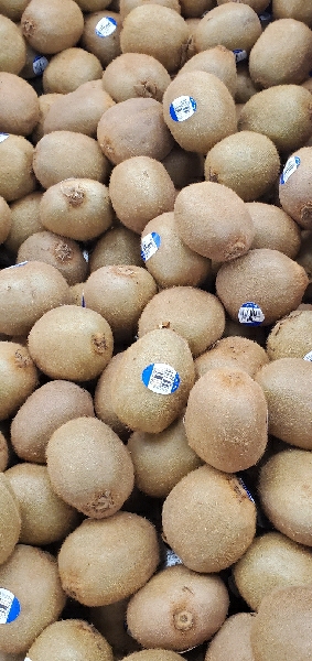 KIWI