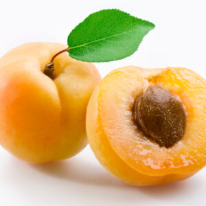 APRICOT