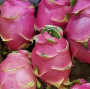 DRAGON FRUIT