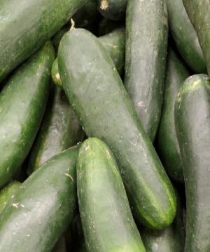 CUCUMBER
