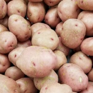 RED POTATO
