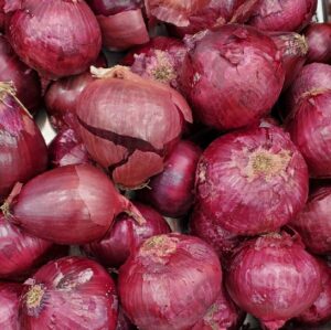 RED ONIONS