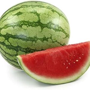 WATERMELON SMALL