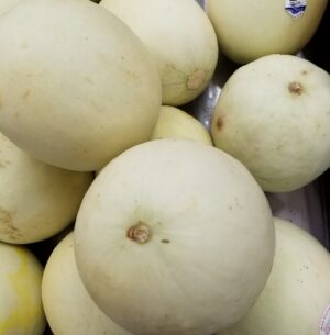 HONEYDEW