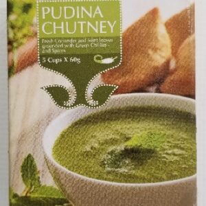 PUDINA CHUTNEY