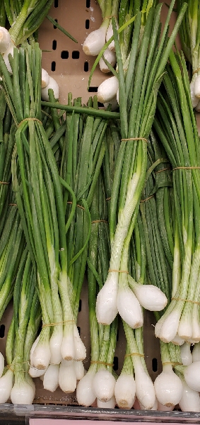 GREEN ONION