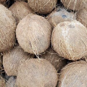 COCONUT REG